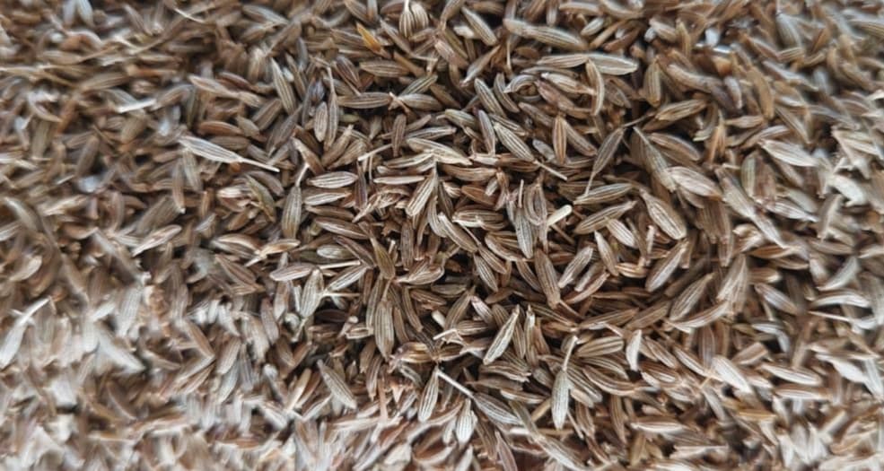 CUMIN WHOLE / POWDER