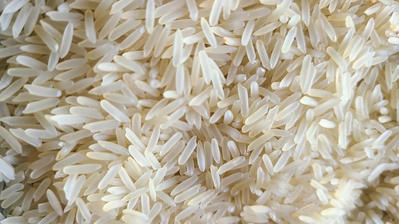 BASMATI