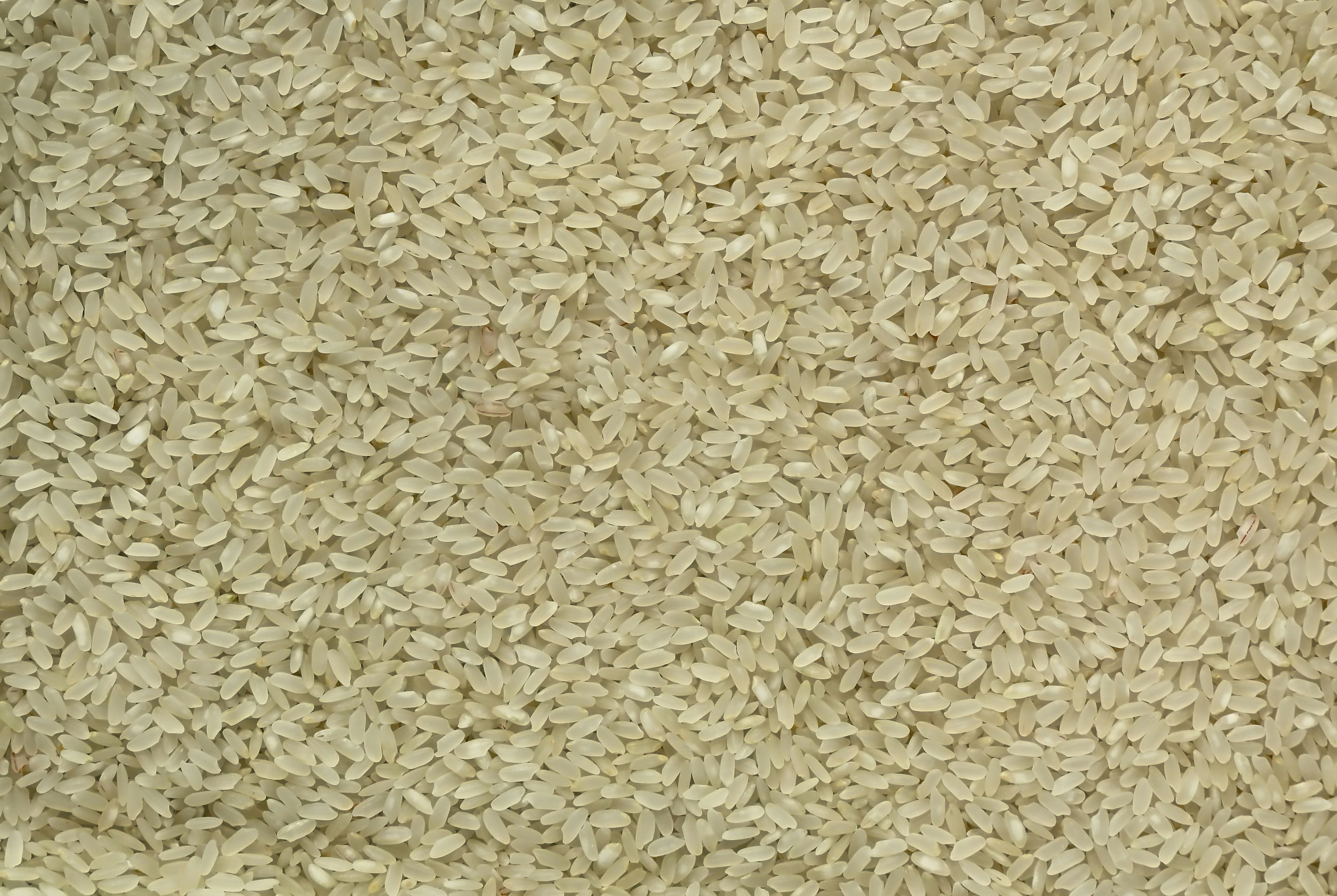 NON-BASMATI