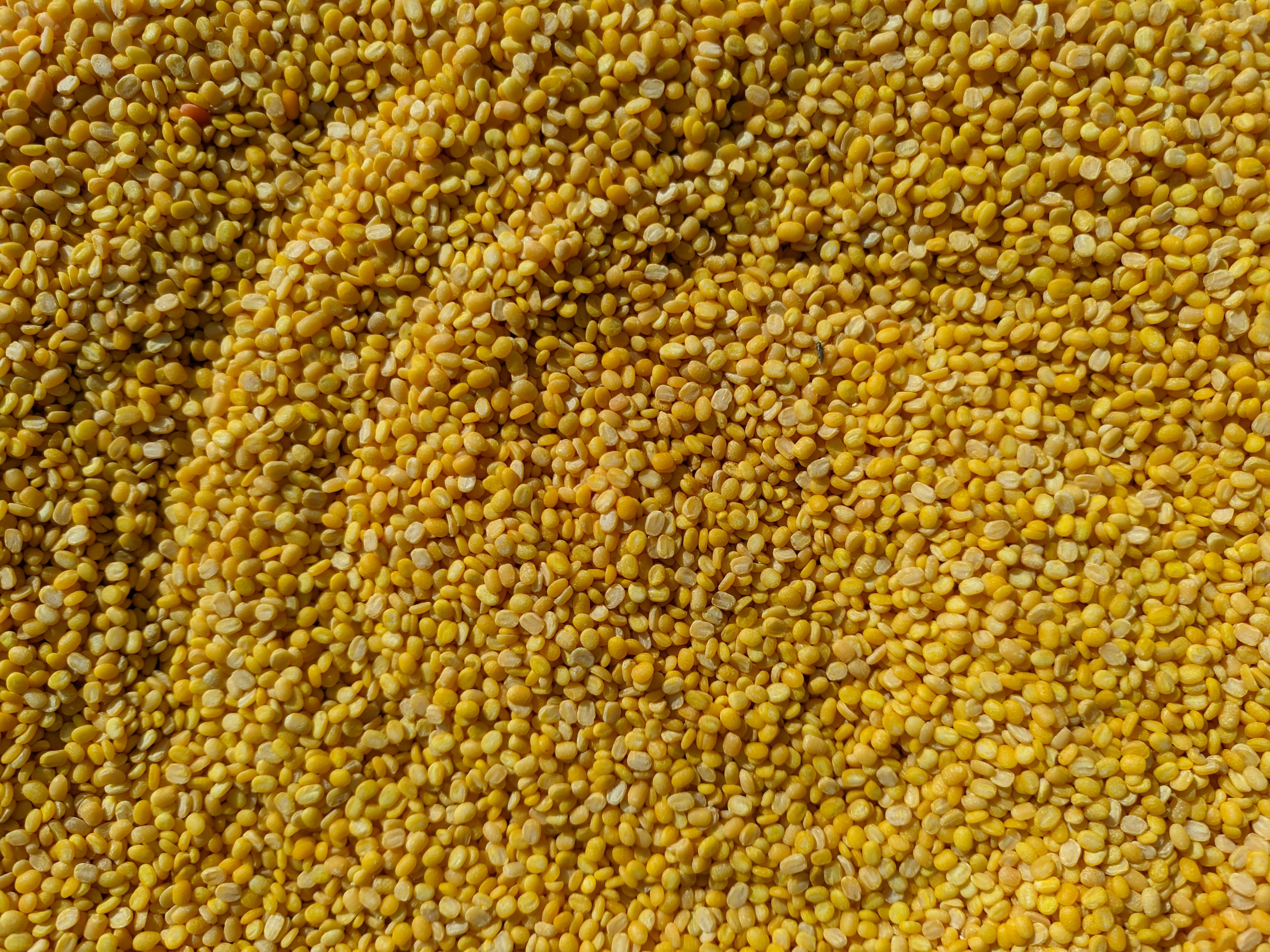 MOONG DAL / YELLOW LENTILS